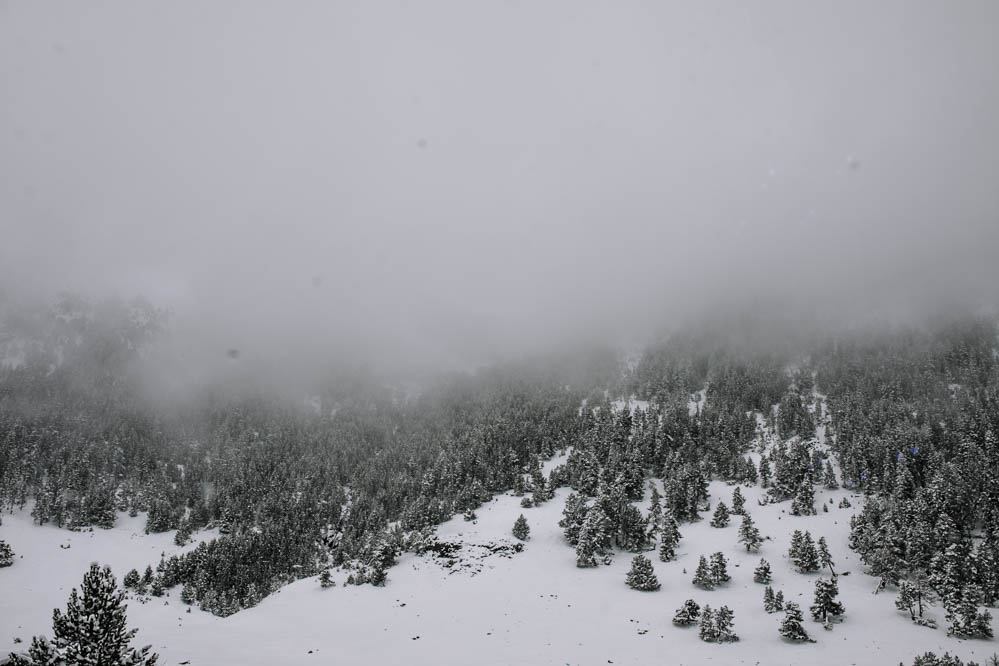 boda civil en la nieve 1