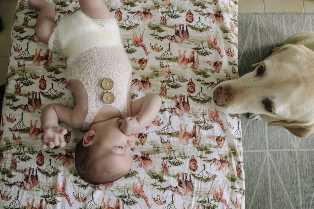 bebé con mascota