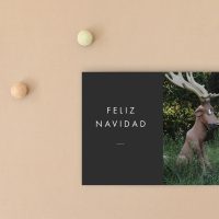 felicitacion navidad