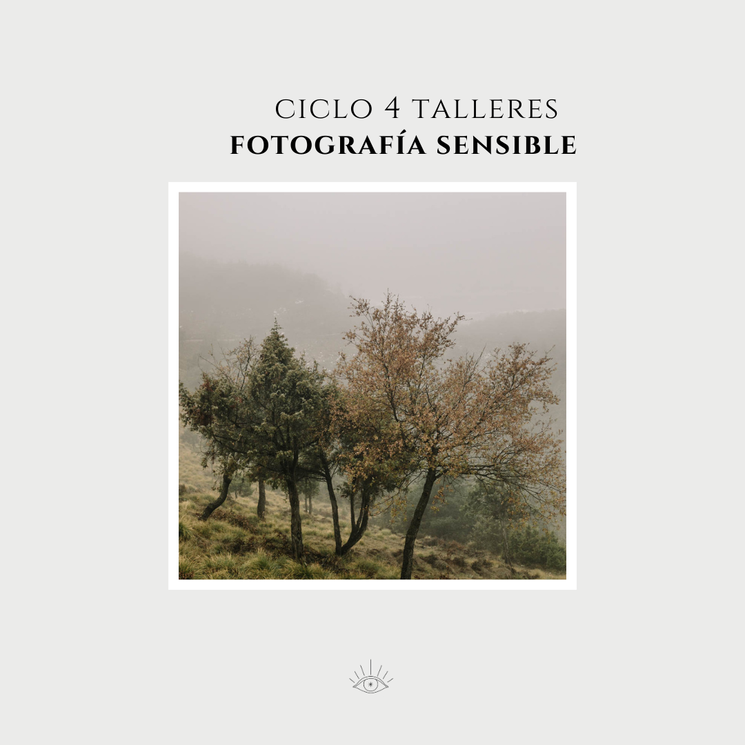 curso de fotografia