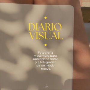 workshopdiariovisual