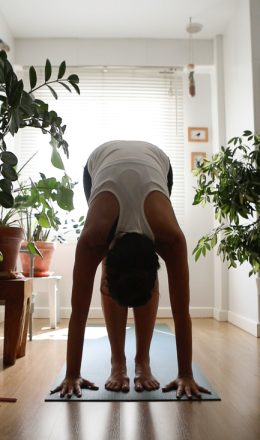 Clases de Hatha Yoga en Zaragoza - Online en Casa